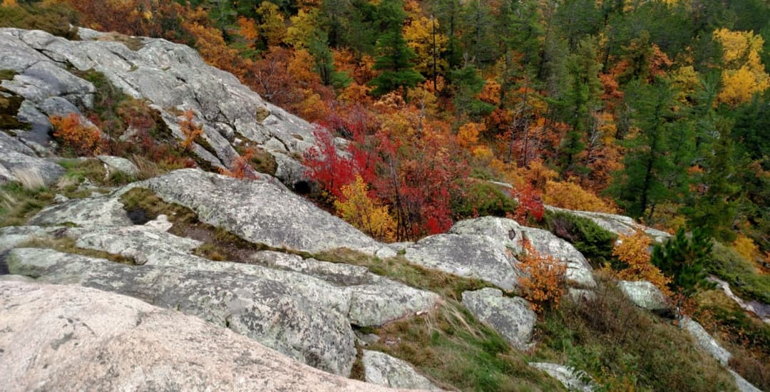 Hogback Mountain