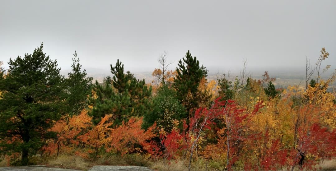 Hogback Mountain