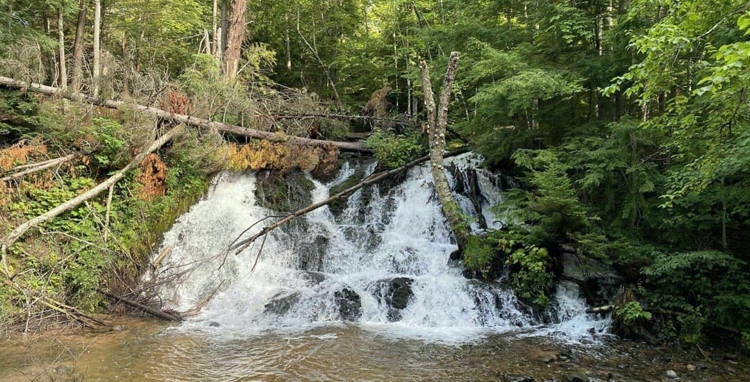 Morgan Falls