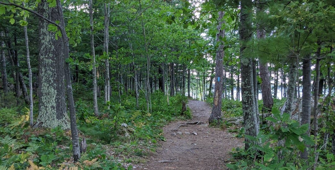 Wetmore Landing Shore Trail