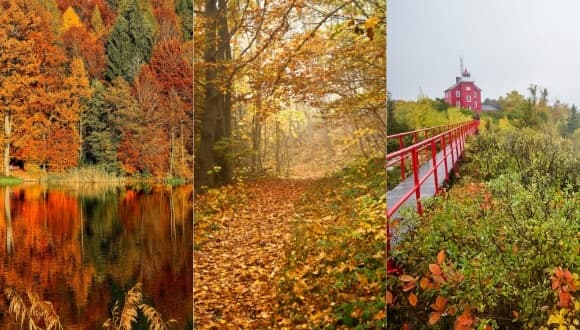 Fall foliage in Marquette